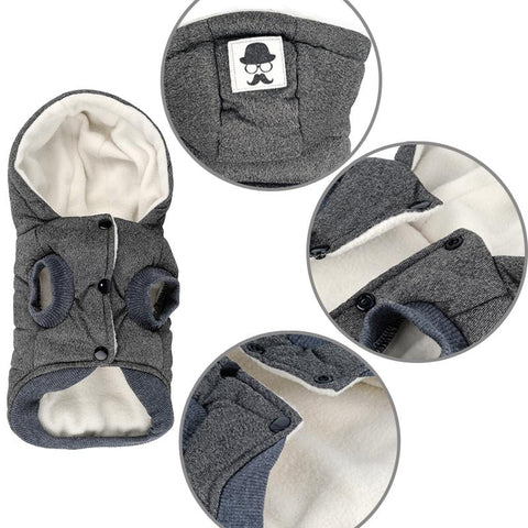 DC Dog Winter Hoodie - DogCore.com