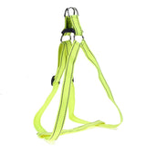 XL Quick Fit Reflective  Collars - DogCore.com