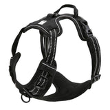 DC Medium/Large Dog Harness - DogCore.com