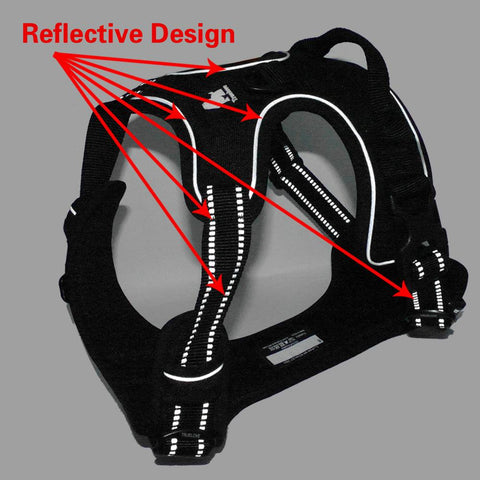 DC Medium/Large Dog Harness - DogCore.com