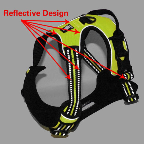 DC Medium/Large Dog Harness - DogCore.com