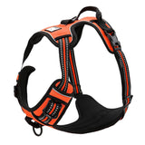 DC Medium/Large Dog Harness - DogCore.com