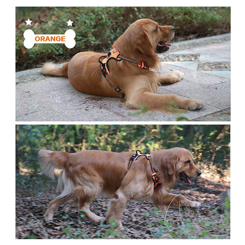 DC Medium/Large Dog Harness - DogCore.com