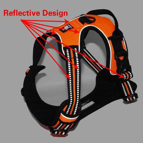 DC Medium/Large Dog Harness - DogCore.com