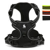 DC Medium/Large Dog Harness - DogCore.com