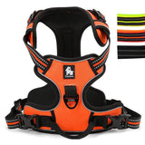 DC Medium/Large Dog Harness - DogCore.com