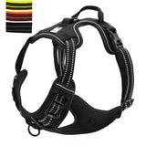 DC Medium/Large Dog Harness - DogCore.com