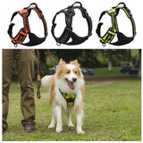 DC Medium/Large Dog Harness - DogCore.com