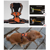DC Medium/Large Dog Harness - DogCore.com