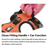 DC Medium/Large Dog Harness - DogCore.com