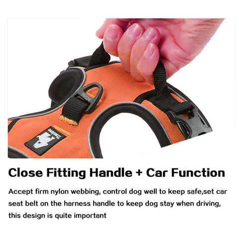 DC Medium/Large Dog Harness - DogCore.com