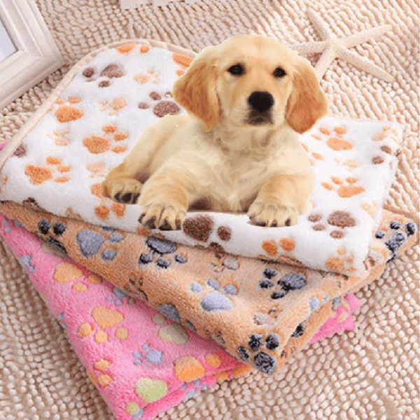 DC Doggie Blanket - DogCore.com