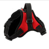 Out Door Dog Harness - DogCore.com