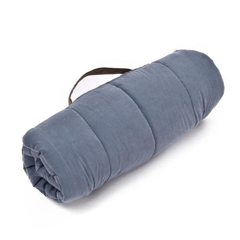 Foldable Dog Travel Mat - DogCore.com