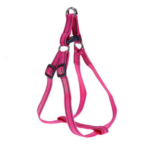 XL Quick Fit Reflective  Collars - DogCore.com