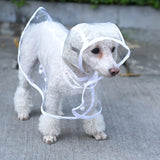 DC Doggie Raincoat - DogCore.com