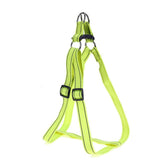 XL Quick Fit Reflective  Collars - DogCore.com