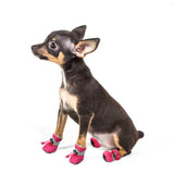 DC Doggie Waterproof shoes - DogCore.com