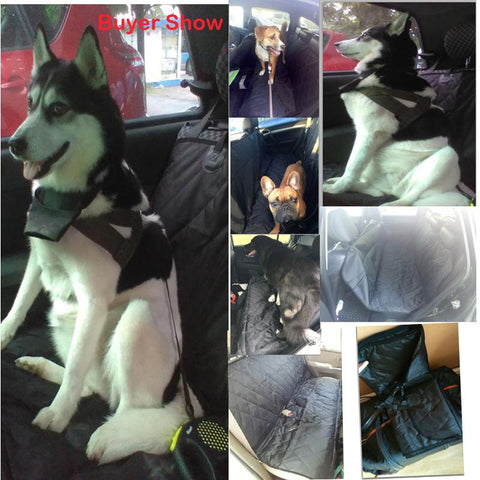 Pet Car Back  Seat Cover - DogCore.com