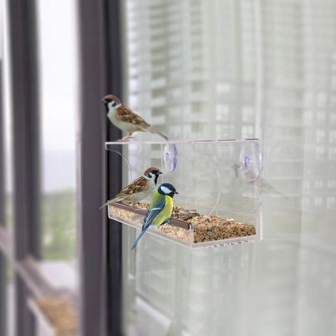 Crystal Window Bird Feeder - DogCore.com
