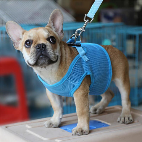 Dog nylon mesh vest FREE + Shipping - DogCore.com