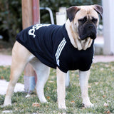 DC Large Size Dog Clothes - DogCore.com