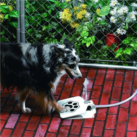 Doggie Water Fountain - DogCore.com