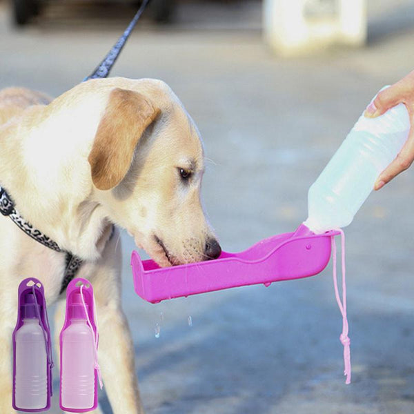 Pet  Water Bottle - DogCore.com