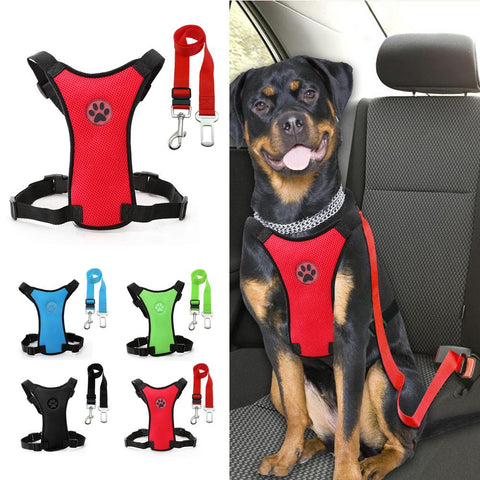 DC Harness with Seat Belt - DogCore.com