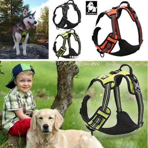 DC Medium/Large Dog Harness - DogCore.com