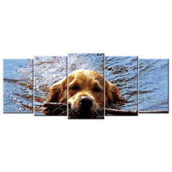 Dog Muzzle Stick Swim - 5 Panels L - DogCore.com