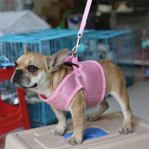 Dog nylon mesh vest FREE + Shipping - DogCore.com